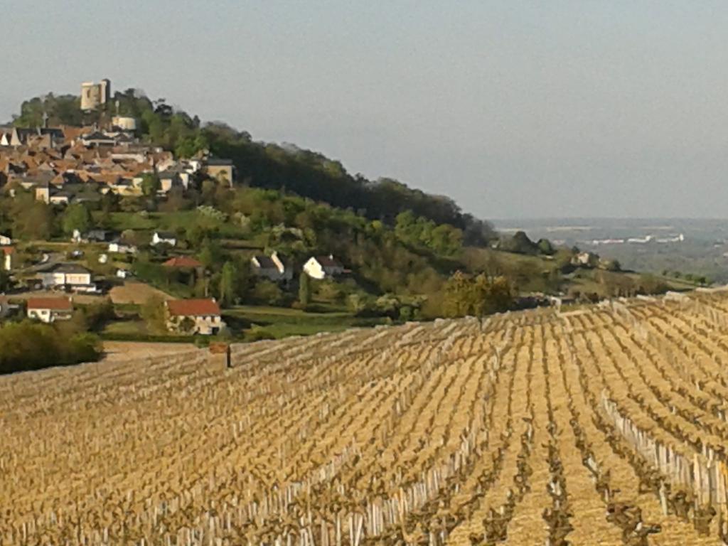 Le Clos Saint Martin Otel Sancerre Dış mekan fotoğraf